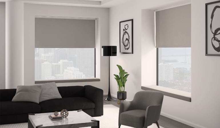 Roller shades window treatments